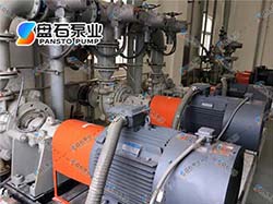 熱電廠(chǎng)脫硫泵工礦